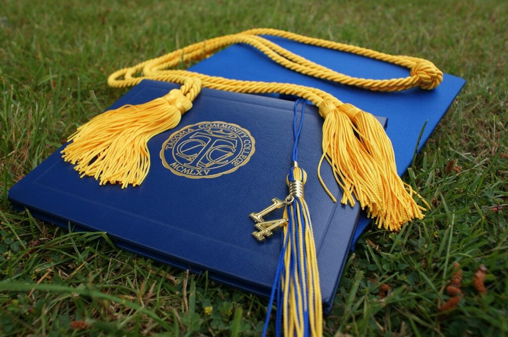 graduation, grads, cap, diploma, education, college, school, university, hat, graduation cap, achievement, graduate, academic, success, knowledge, ceremony, student, certificate, study, degree, class, 2014, graduation tassel, tassel, graduation, graduation, graduation, diploma, diploma, diploma, certificate, certificate, degree, degree, degree, degree, degree