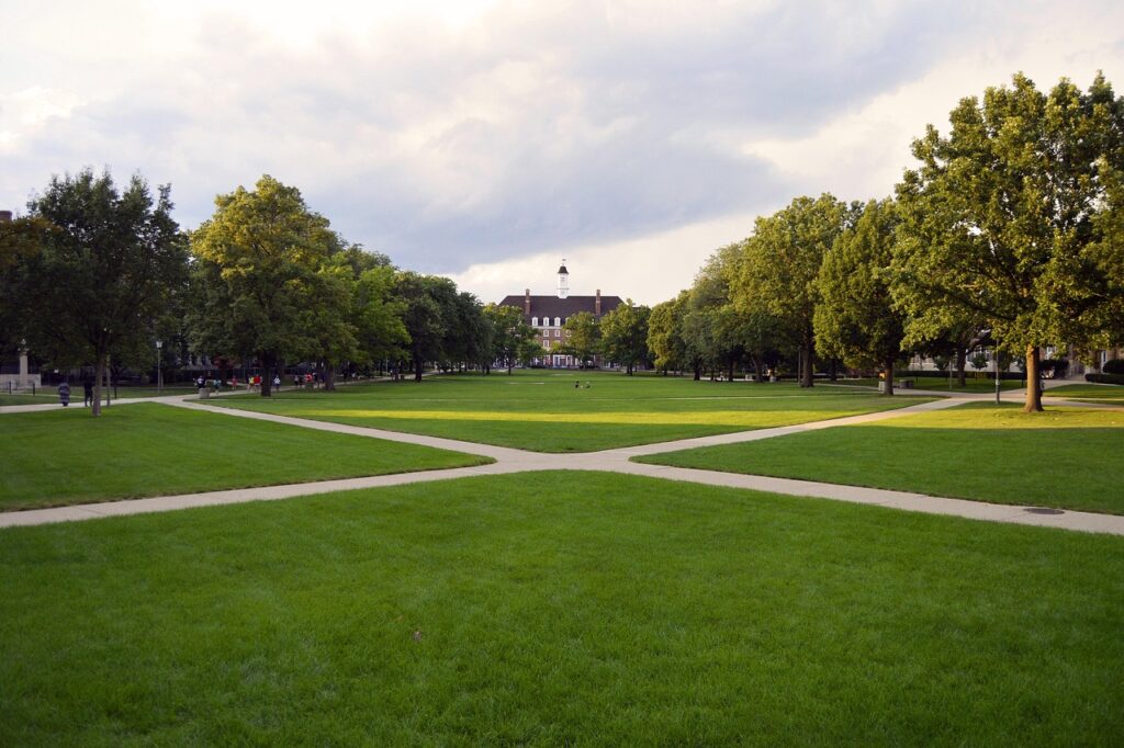 university, college, campus, main, quad, education, knowledge acquisition, study, studying, learning, green, grass, university of illinois, urbana-champaign, champaign, academic, educational, nature, institution, institute, school, student life, midwest, big 10, big ten, back to school, college life